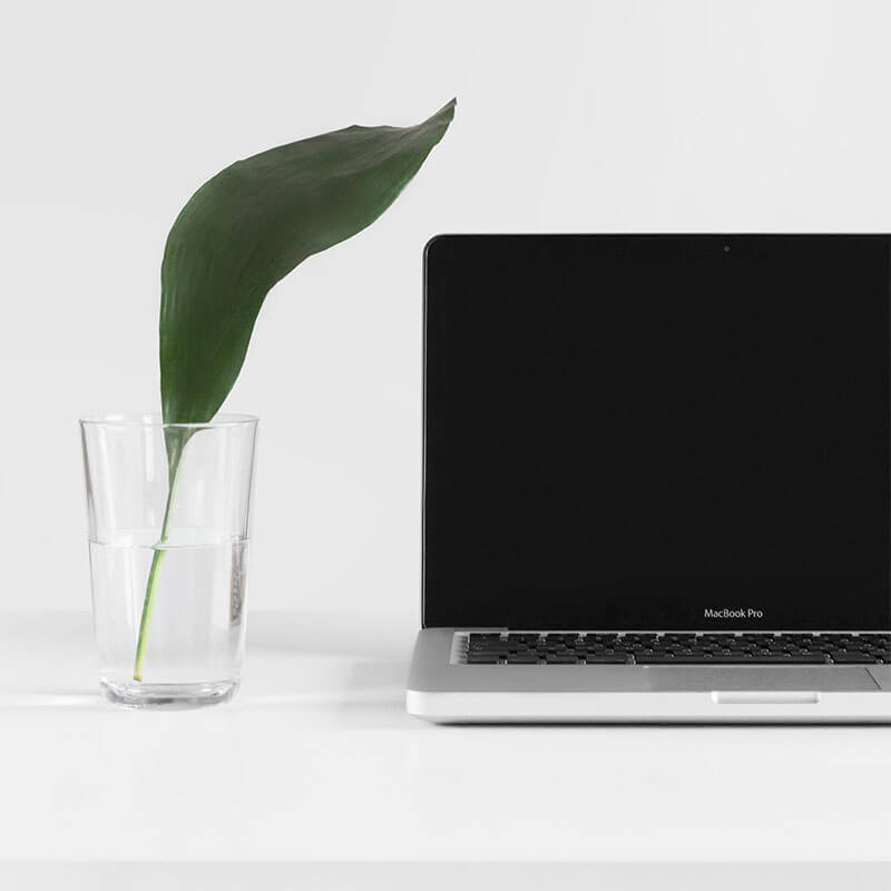 How to make your eco-friendly brands website greener