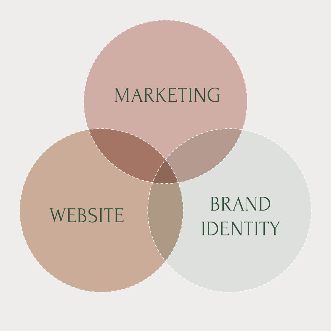 The importance of working on your business – branding, marketing & website