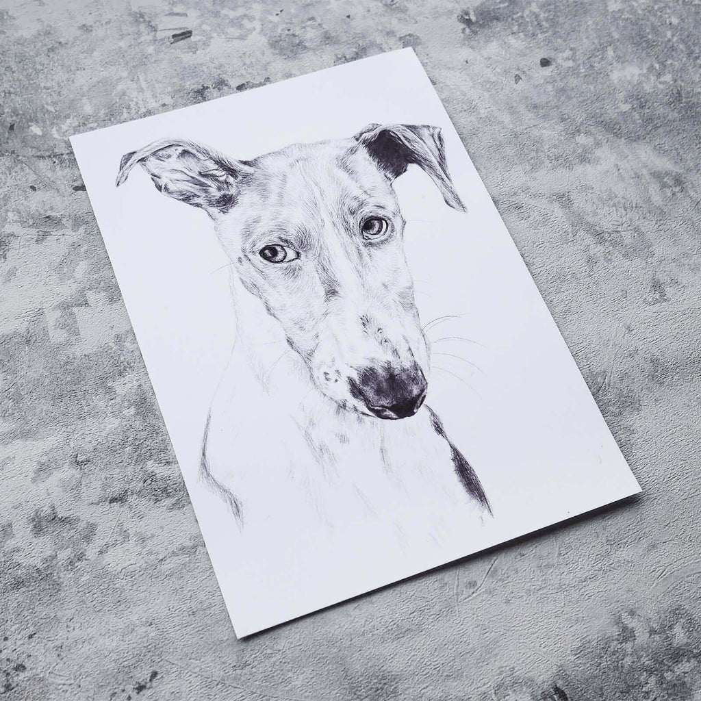 Greyhound dog Illustration in pencil - art print image 0