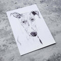 Greyhound dog Illustration in pencil - art print image 0