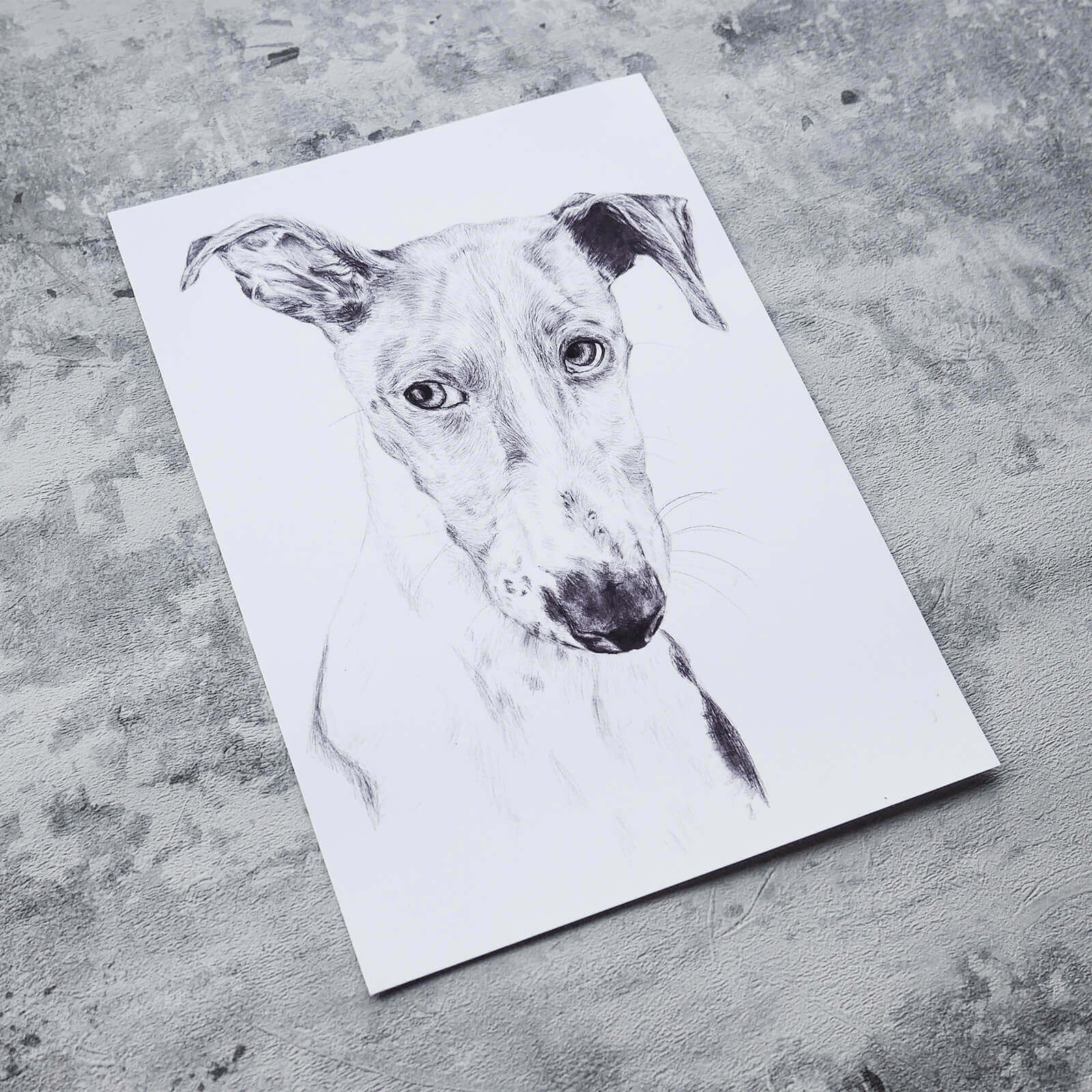 Greyhound dog Illustration in pencil - art print image 0