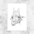 Illustration Giraffe in pencil - art print image 0