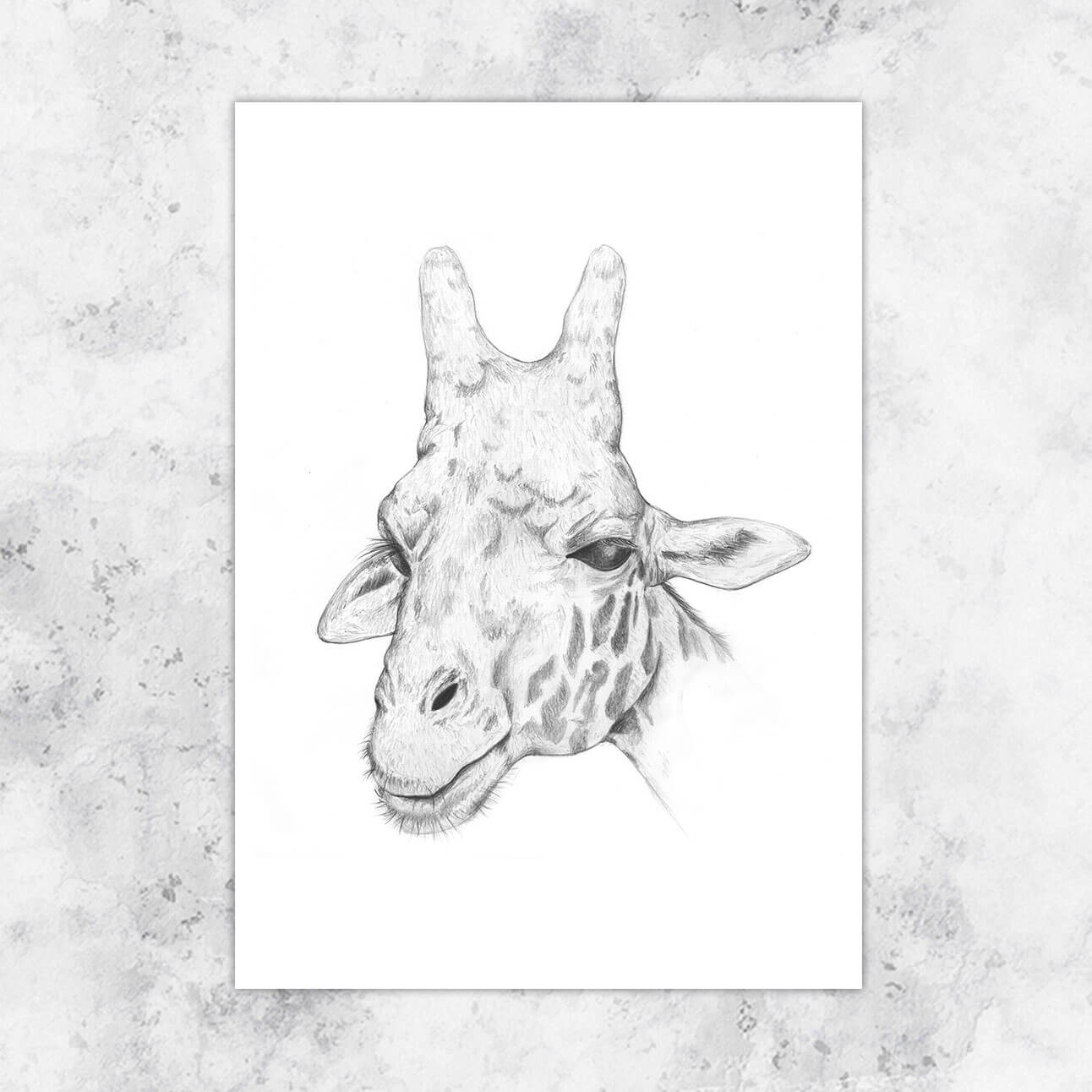 Illustration Giraffe in pencil - art print image 0