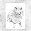 Dachshund dog Illustration - art print image 0