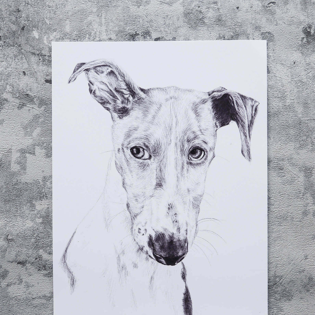 Greyhound dog Illustration in pencil - art print image 2