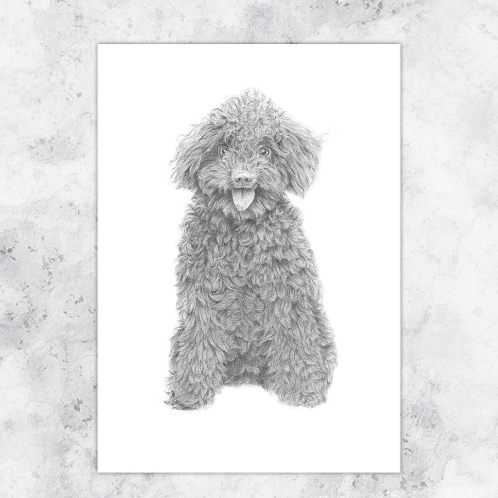 Illustration curly dog in pencil - art print image 2