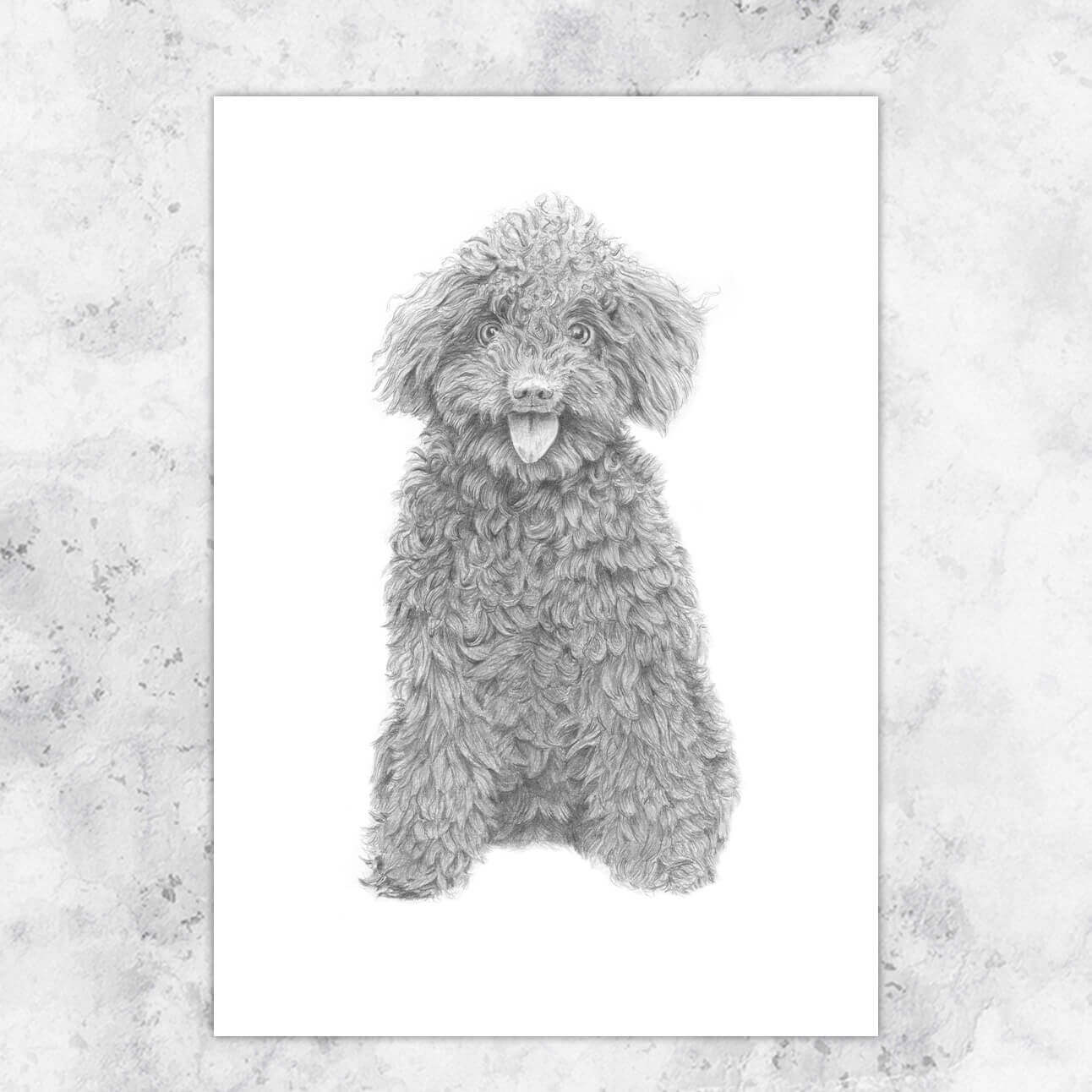 Illustration curly dog in pencil - art print image 2