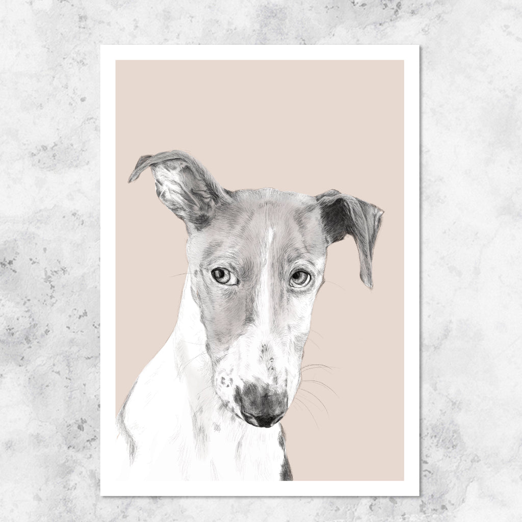 Greyhound illustration - art print