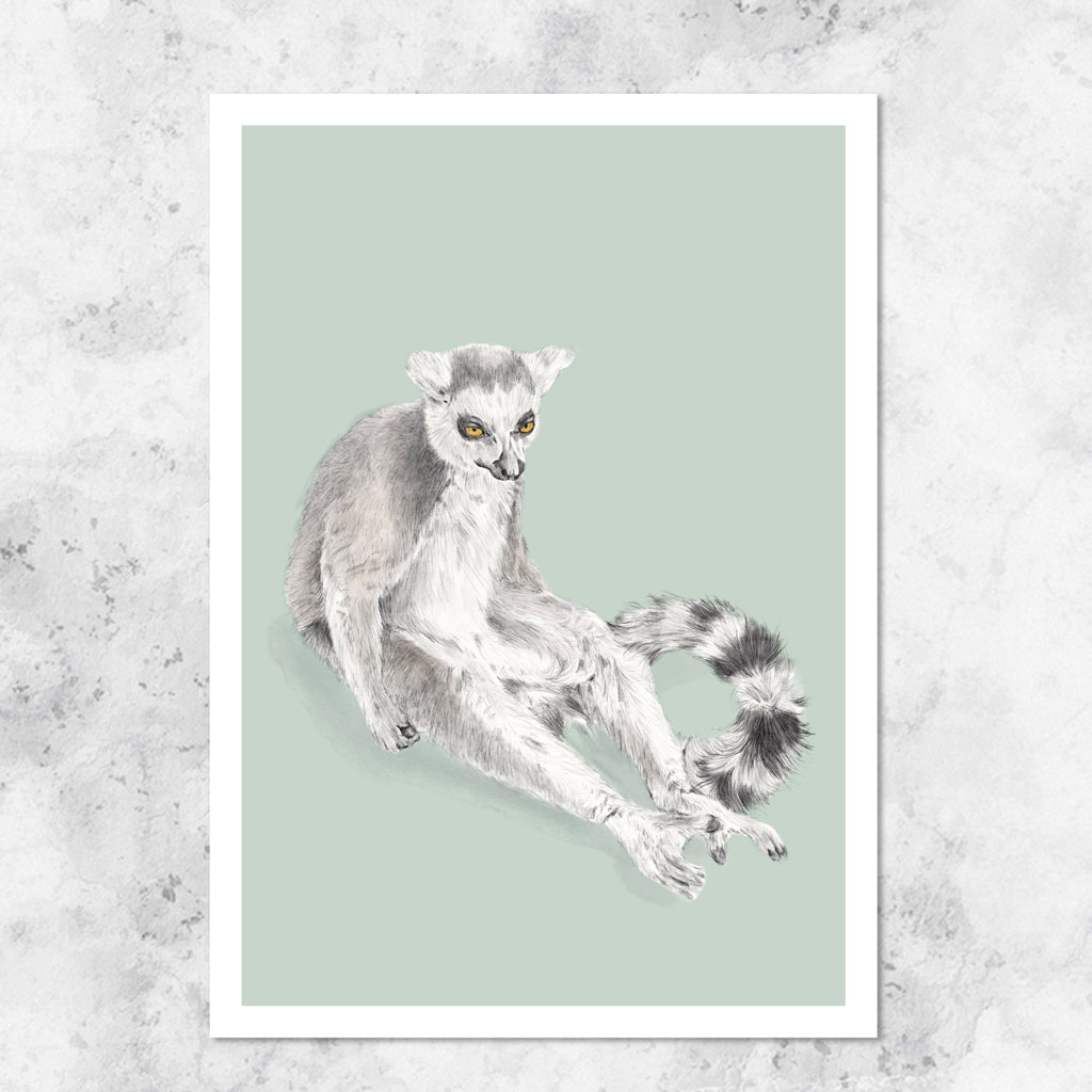 Lemur illustration - art print