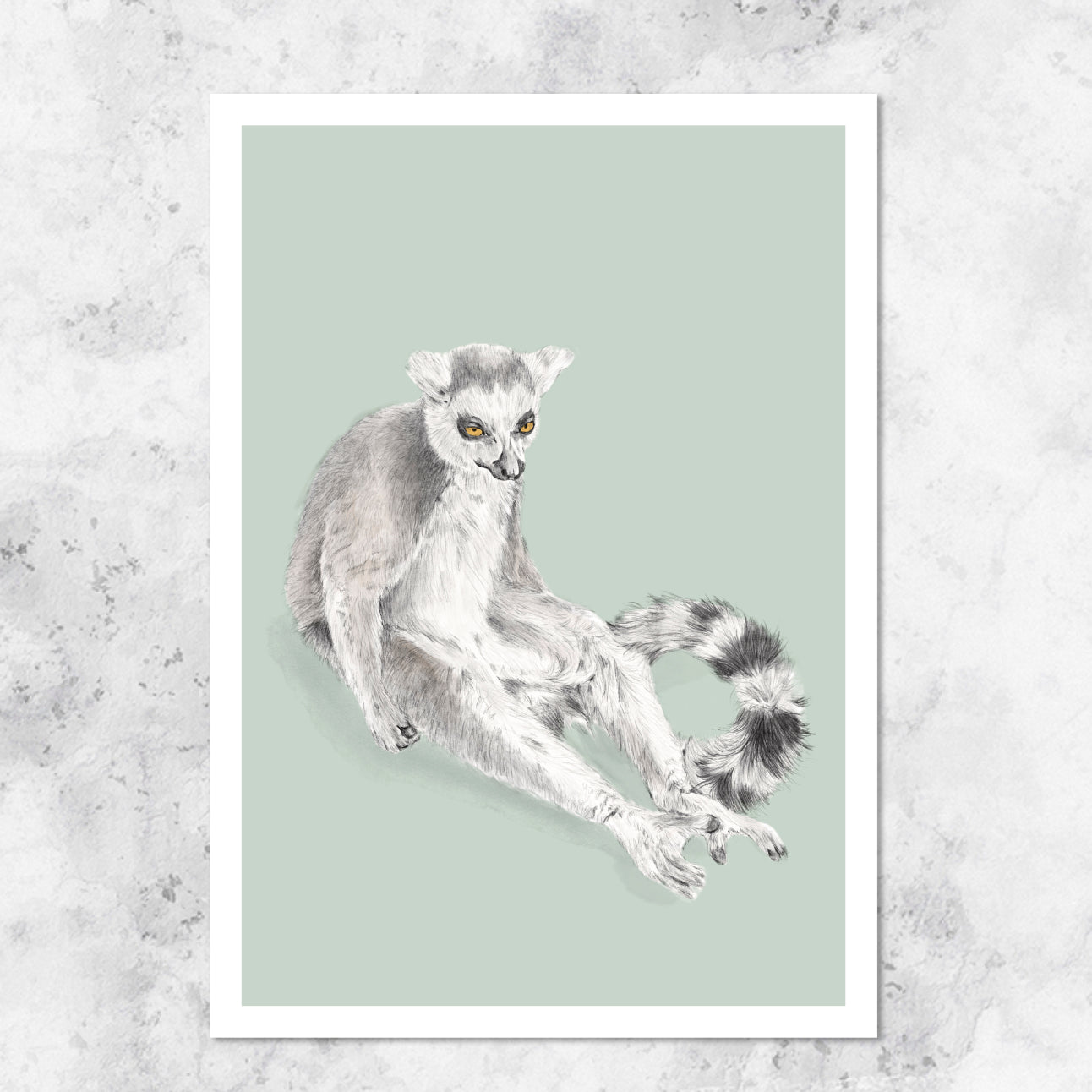 Lemur illustration - art print