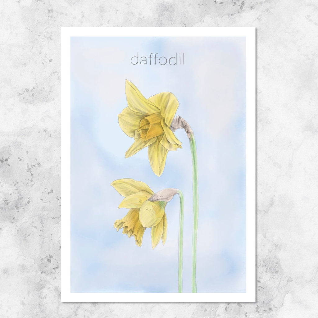 Daffodil illustration - art print