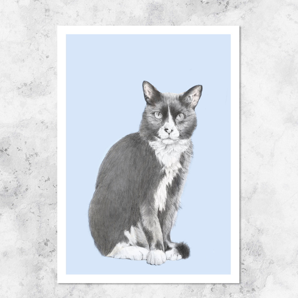 Cat illustration - art print