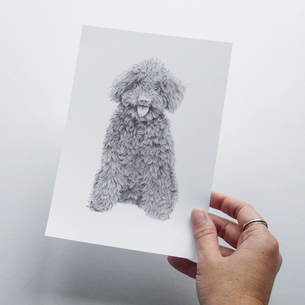 Illustration curly dog in pencil - art print image 0