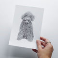 Illustration curly dog in pencil - art print image 0