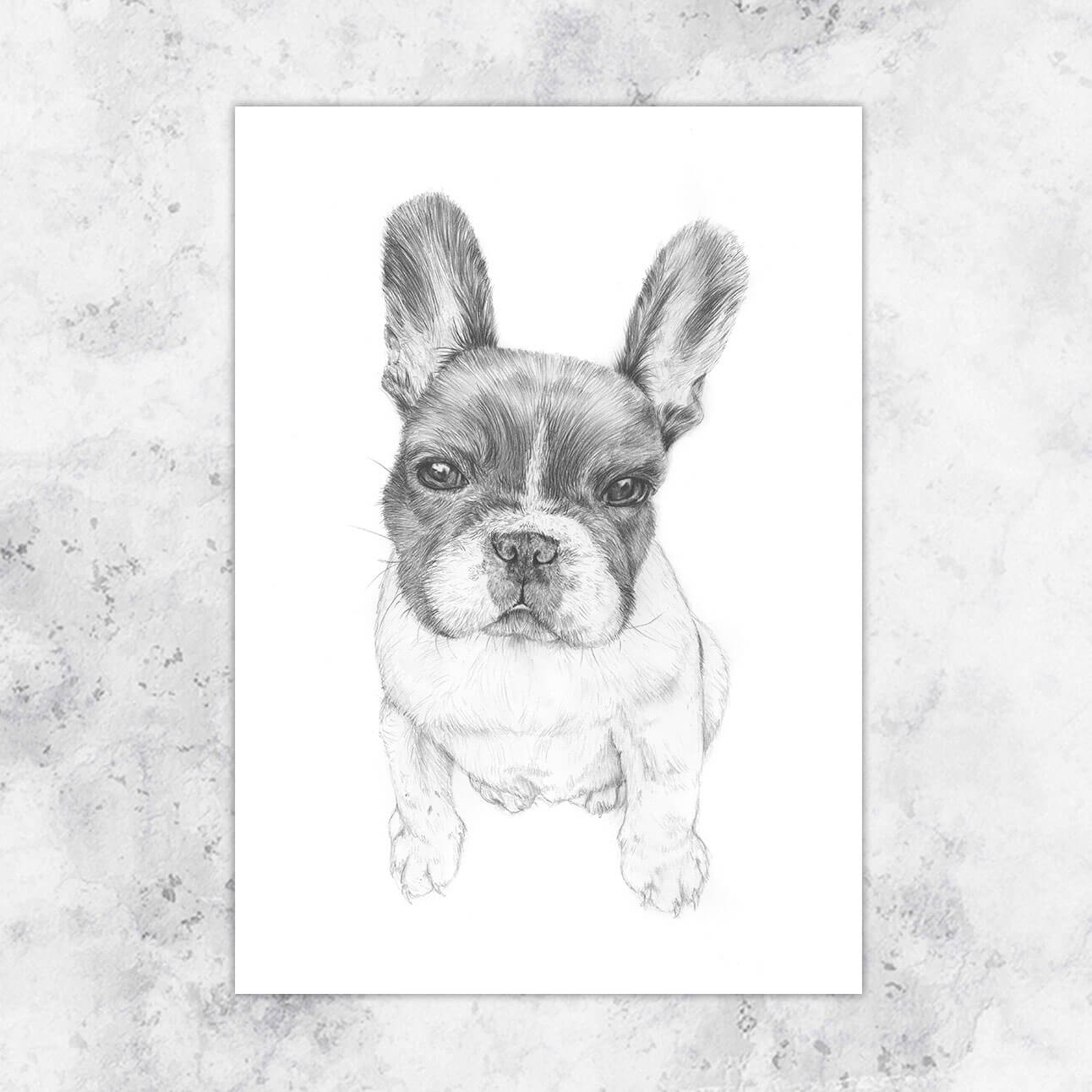 Illustration Pablo french bulldog - art print image 0