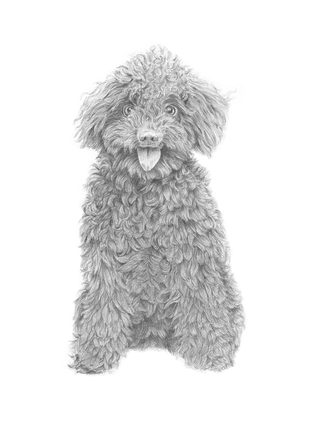Curly Dog - A4 Original Drawing image 0