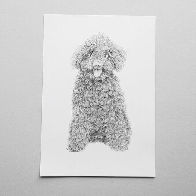 Illustration curly dog in pencil - art print image 1