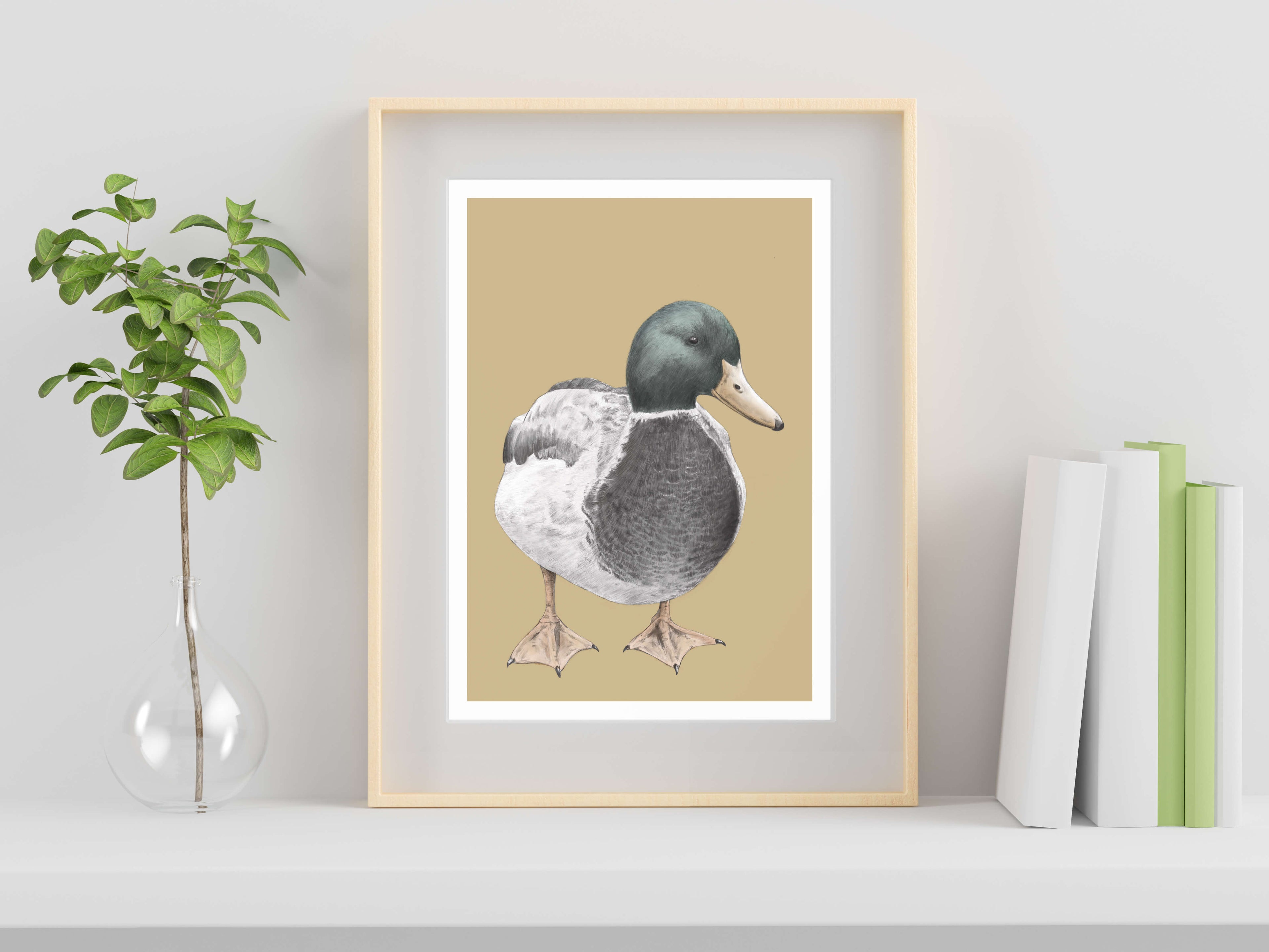 Duck illustration - art print