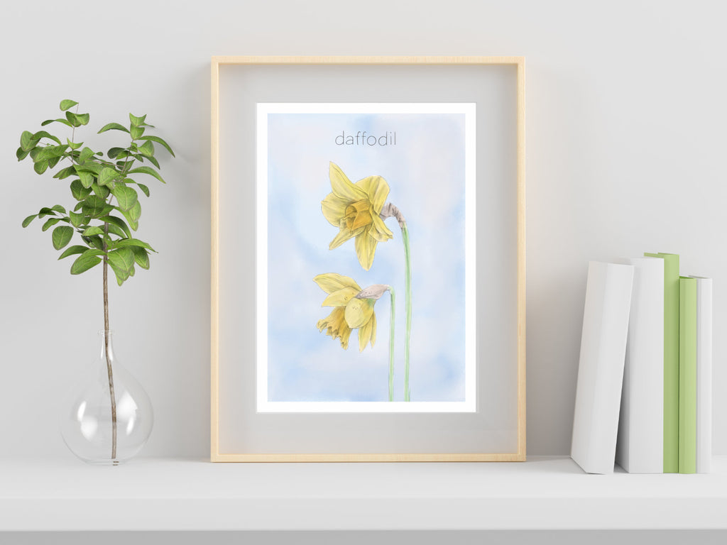 Daffodil illustration - art print