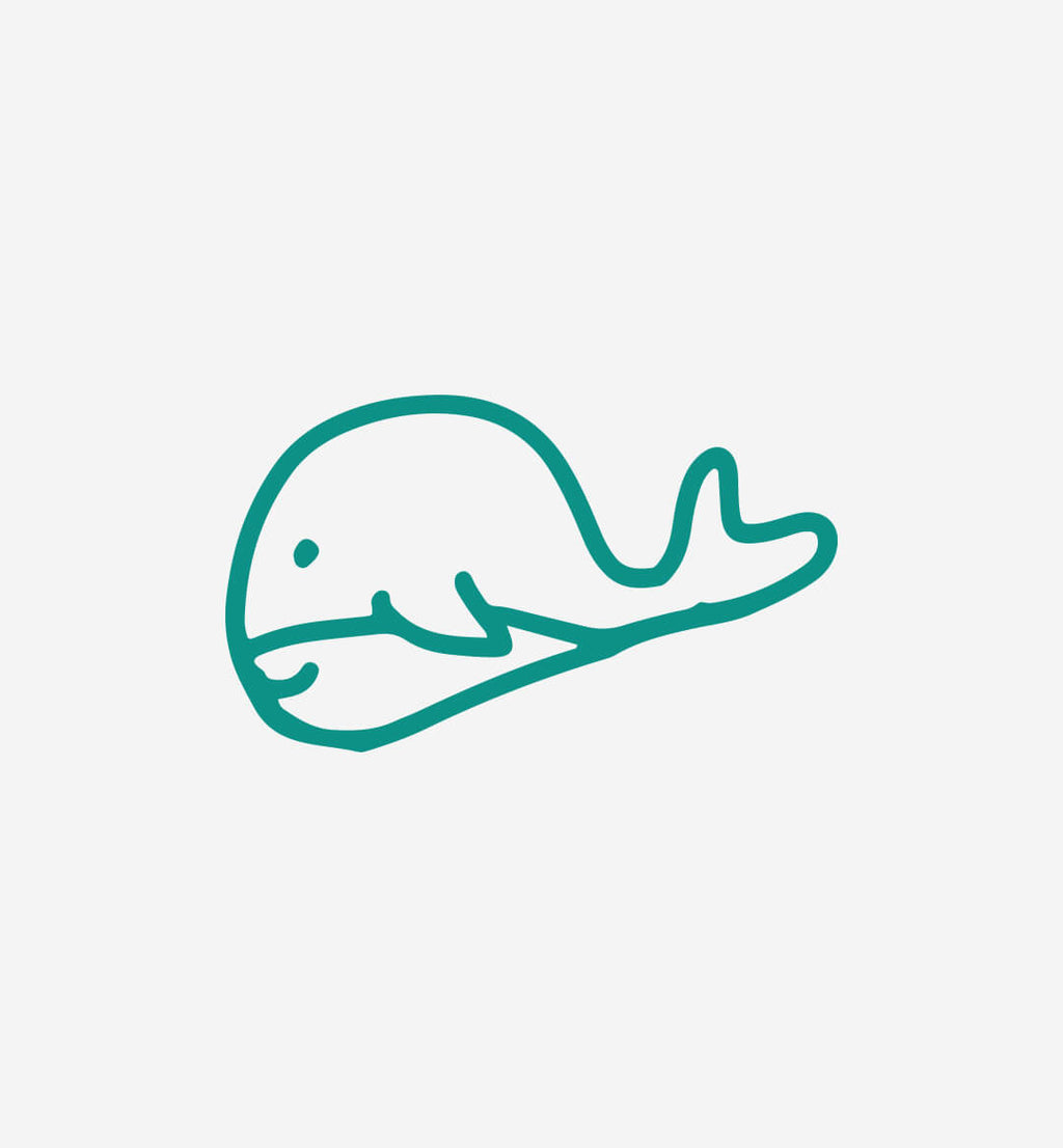 Simple teal line drawing of a whale on a light gray background